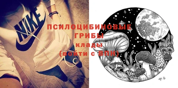 молекула духа Алзамай