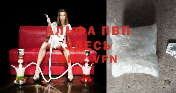 гидра Алексеевка
