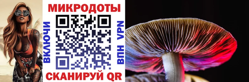 Псилоцибиновые грибы Psilocybe  Апрелевка 